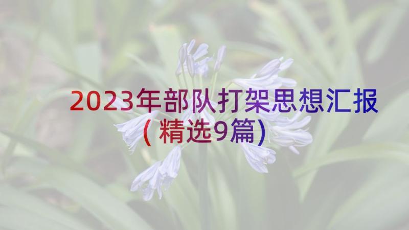 2023年部队打架思想汇报(精选9篇)