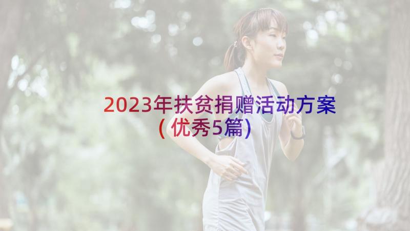 2023年扶贫捐赠活动方案(优秀5篇)