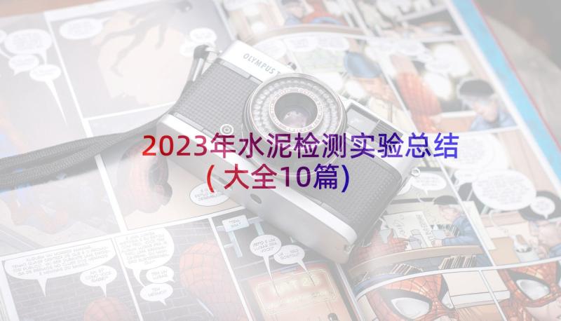 2023年水泥检测实验总结(大全10篇)