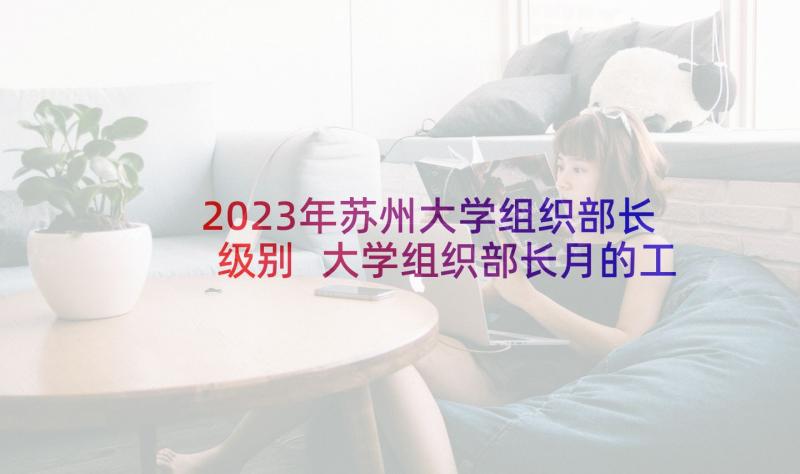 2023年苏州大学组织部长级别 大学组织部长月的工作总结(汇总9篇)