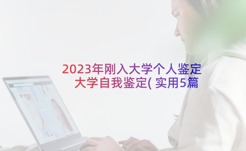 2023年刚入大学个人鉴定 大学自我鉴定(实用5篇)