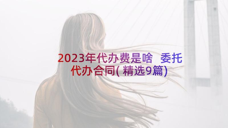 2023年代办费是啥 委托代办合同(精选9篇)