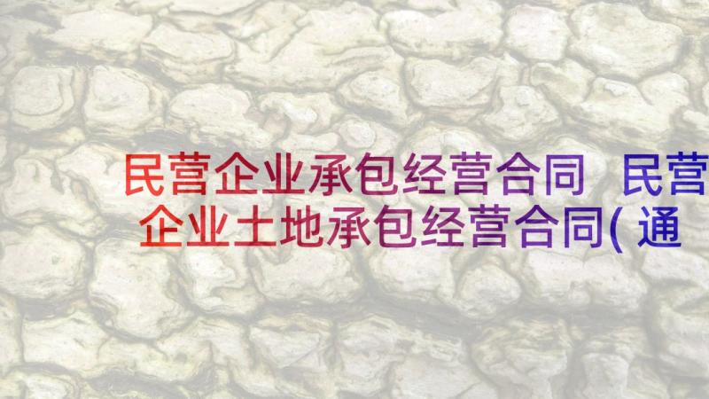 民营企业承包经营合同 民营企业土地承包经营合同(通用5篇)