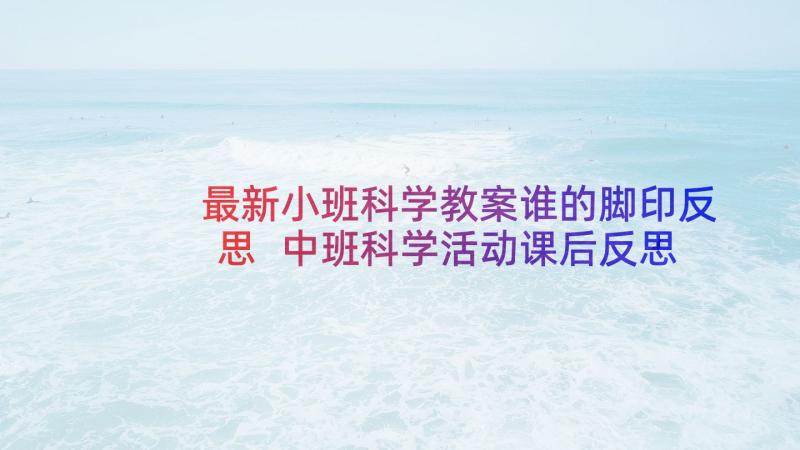 最新小班科学教案谁的脚印反思 中班科学活动课后反思(实用5篇)