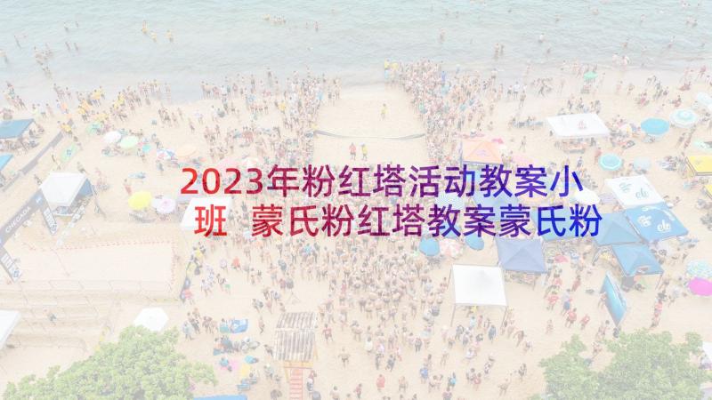 2023年粉红塔活动教案小班 蒙氏粉红塔教案蒙氏粉红塔教案活动延伸(大全5篇)