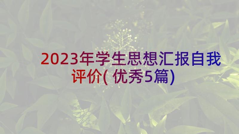 2023年学生思想汇报自我评价(优秀5篇)