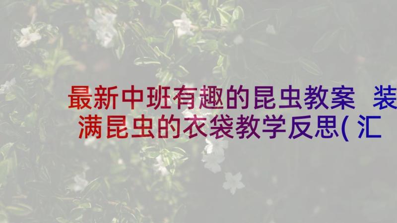 最新中班有趣的昆虫教案 装满昆虫的衣袋教学反思(汇总5篇)