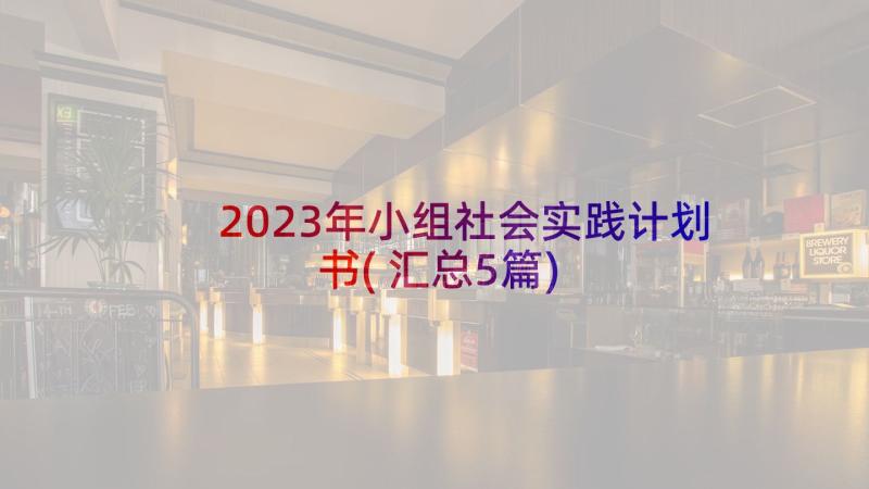 2023年小组社会实践计划书(汇总5篇)