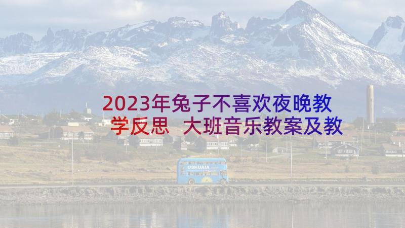 2023年兔子不喜欢夜晚教学反思 大班音乐教案及教学反思兔子和狼(优质5篇)