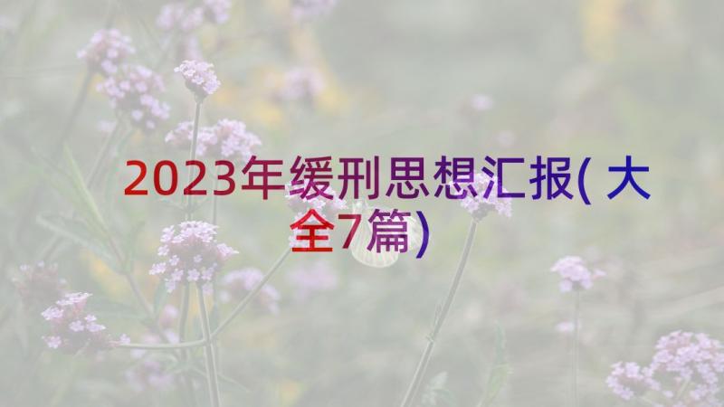 2023年缓刑思想汇报(大全7篇)