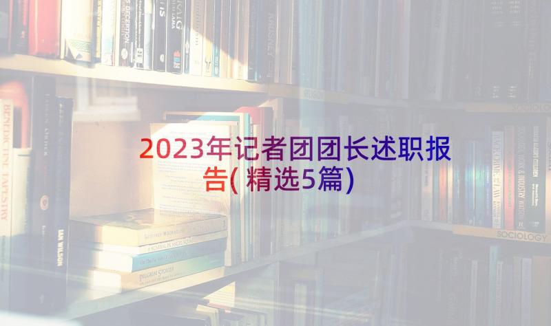 2023年记者团团长述职报告(精选5篇)