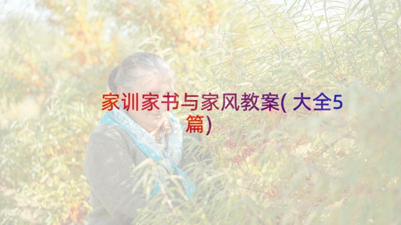 家训家书与家风教案(大全5篇)