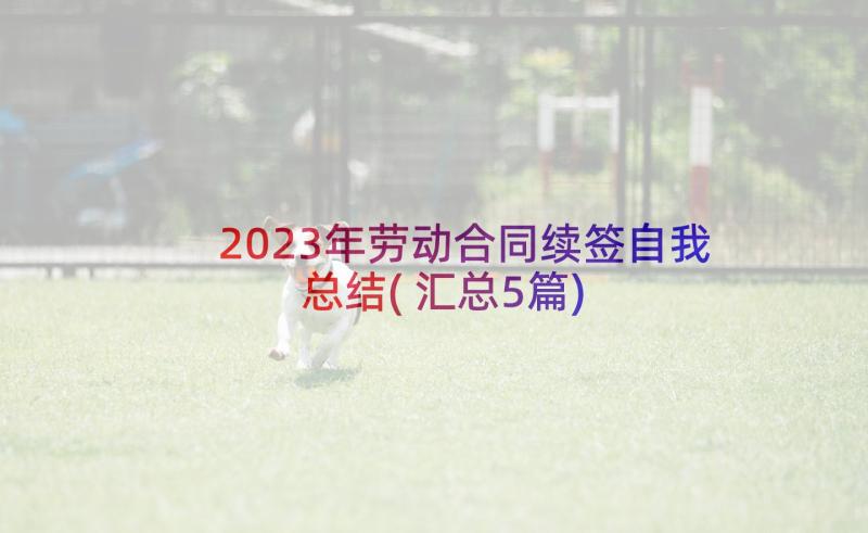 2023年劳动合同续签自我总结(汇总5篇)