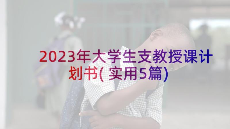 2023年大学生支教授课计划书(实用5篇)