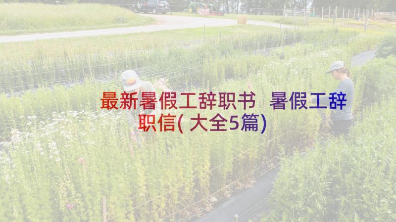 最新暑假工辞职书 暑假工辞职信(大全5篇)