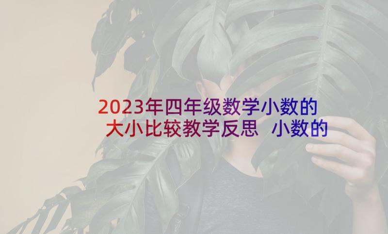 2023年四年级数学小数的大小比较教学反思 小数的大小比较教学反思(优质5篇)