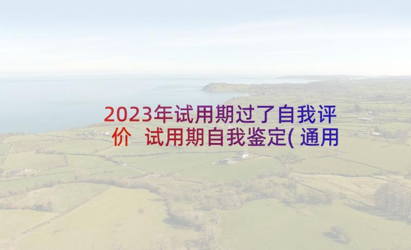 2023年试用期过了自我评价 试用期自我鉴定(通用8篇)