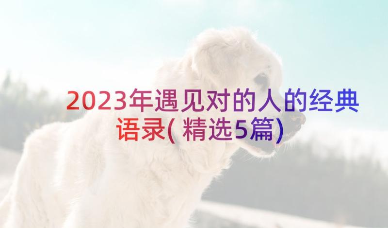 2023年遇见对的人的经典语录(精选5篇)