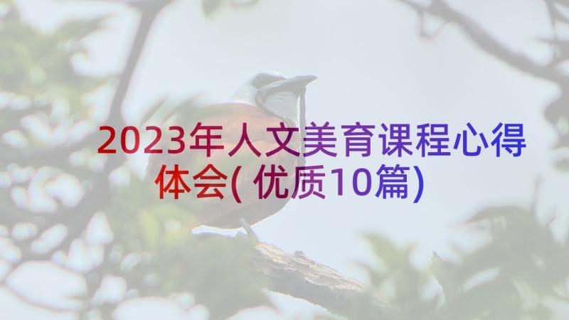 2023年人文美育课程心得体会(优质10篇)