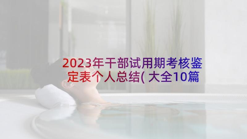 2023年干部试用期考核鉴定表个人总结(大全10篇)