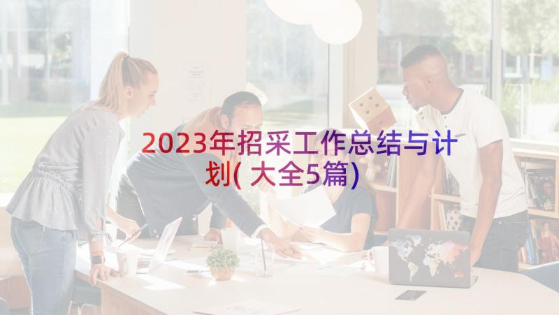 2023年招采工作总结与计划(大全5篇)