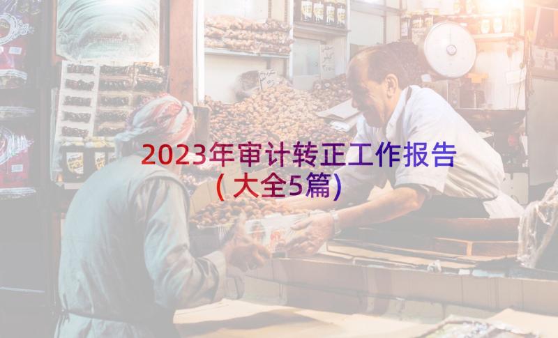 2023年审计转正工作报告(大全5篇)