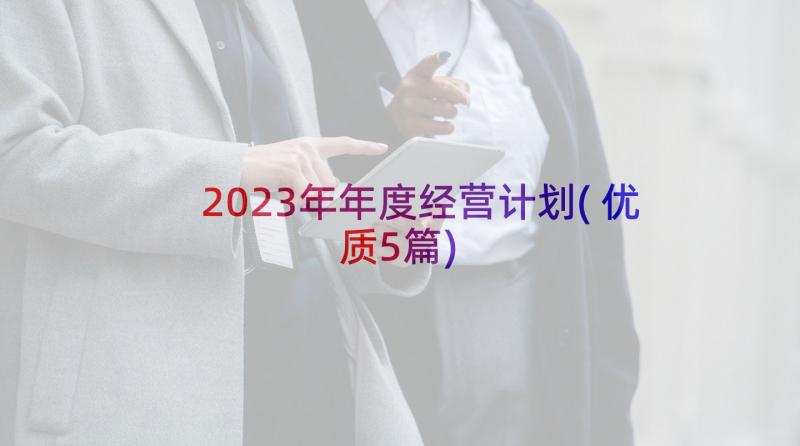 2023年年度经营计划(优质5篇)