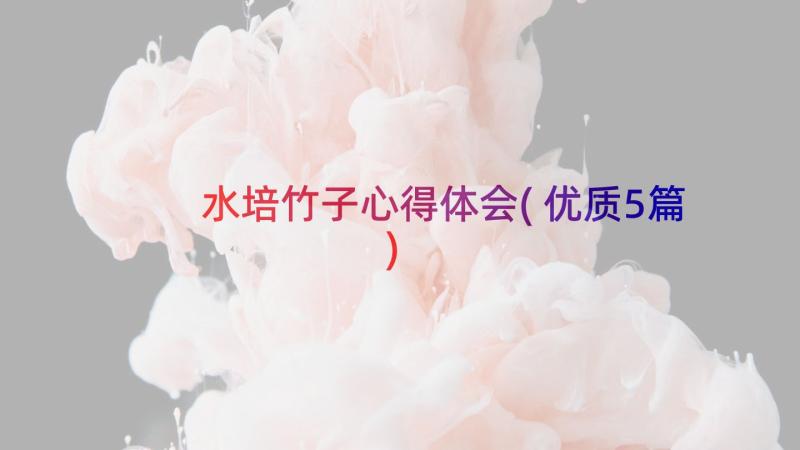 水培竹子心得体会(优质5篇)