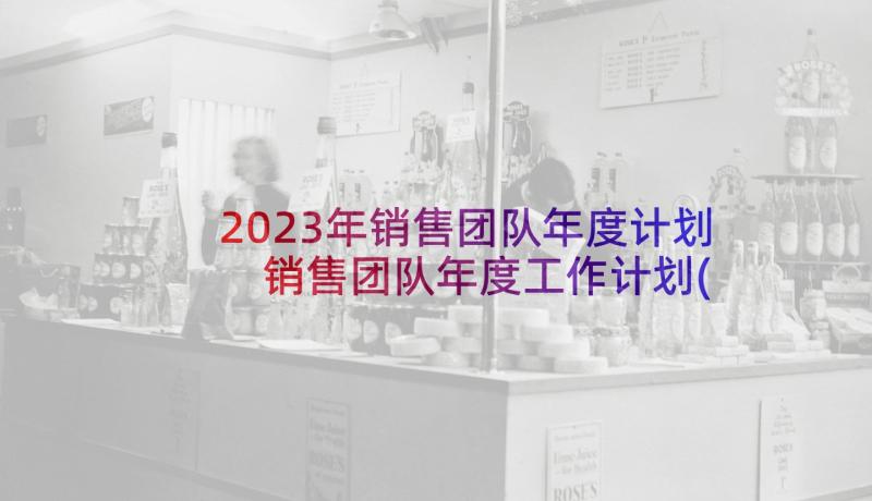 2023年销售团队年度计划 销售团队年度工作计划(模板5篇)