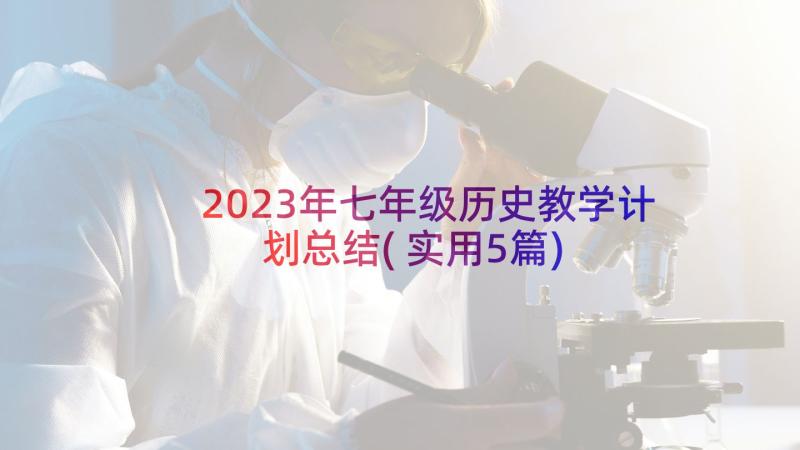 2023年七年级历史教学计划总结(实用5篇)