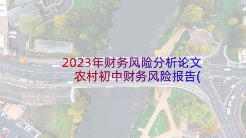 2023年财务风险分析论文 农村初中财务风险报告(大全5篇)