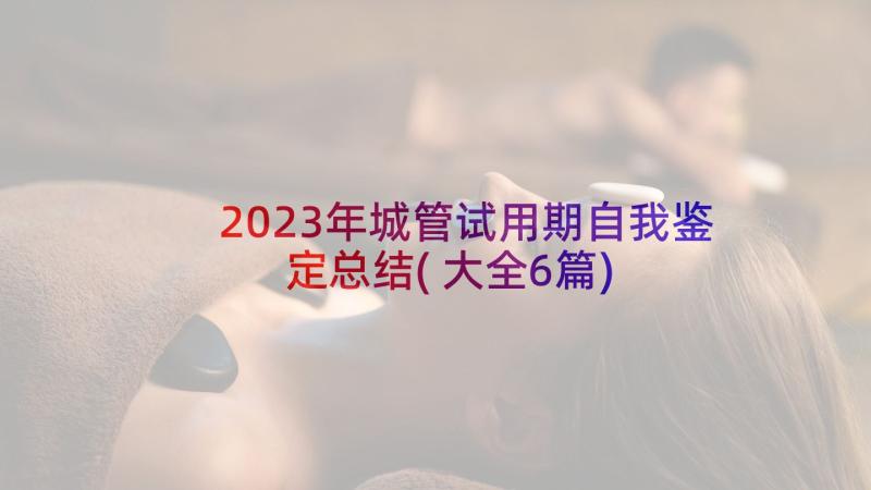 2023年城管试用期自我鉴定总结(大全6篇)