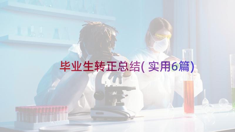 毕业生转正总结(实用6篇)