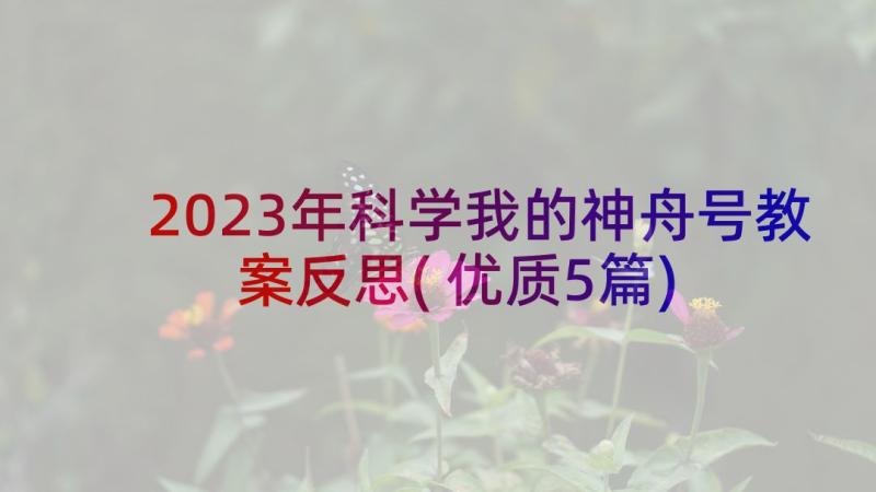 2023年科学我的神舟号教案反思(优质5篇)