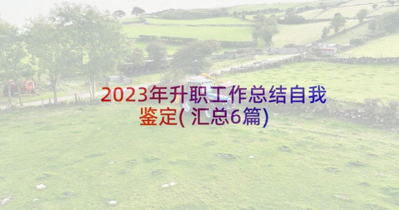 2023年升职工作总结自我鉴定(汇总6篇)