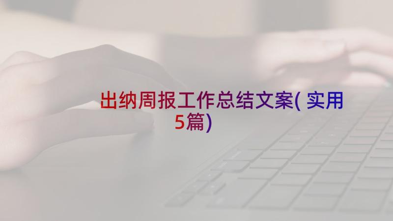 出纳周报工作总结文案(实用5篇)