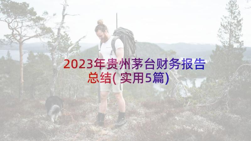 2023年贵州茅台财务报告总结(实用5篇)