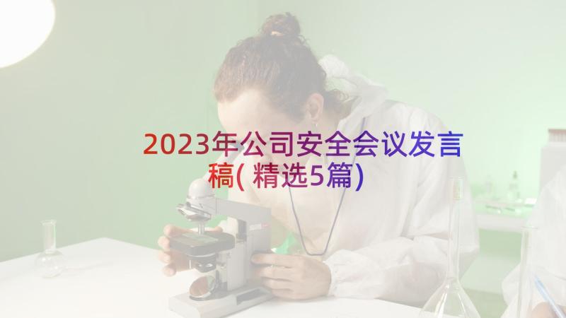 2023年公司安全会议发言稿(精选5篇)