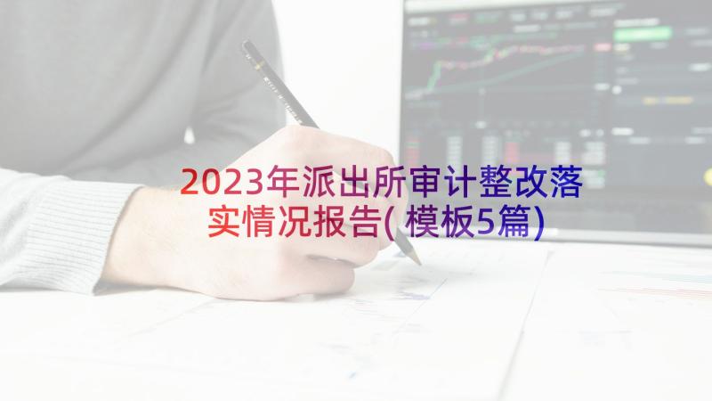 2023年派出所审计整改落实情况报告(模板5篇)