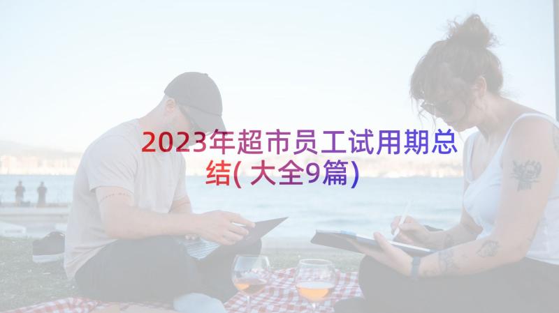 2023年超市员工试用期总结(大全9篇)