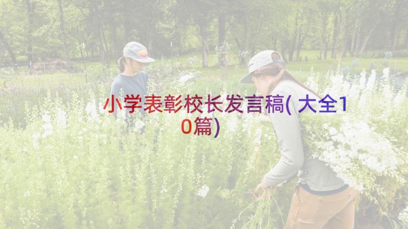 小学表彰校长发言稿(大全10篇)