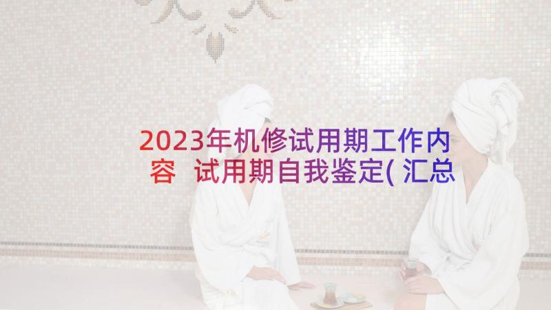 2023年机修试用期工作内容 试用期自我鉴定(汇总5篇)