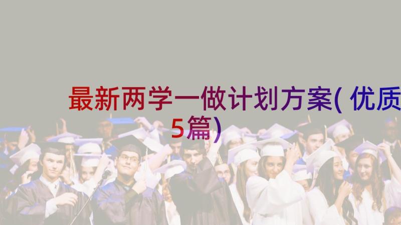 最新两学一做计划方案(优质5篇)