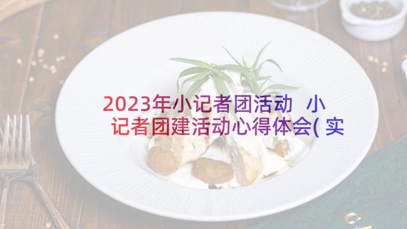 2023年小记者团活动 小记者团建活动心得体会(实用10篇)