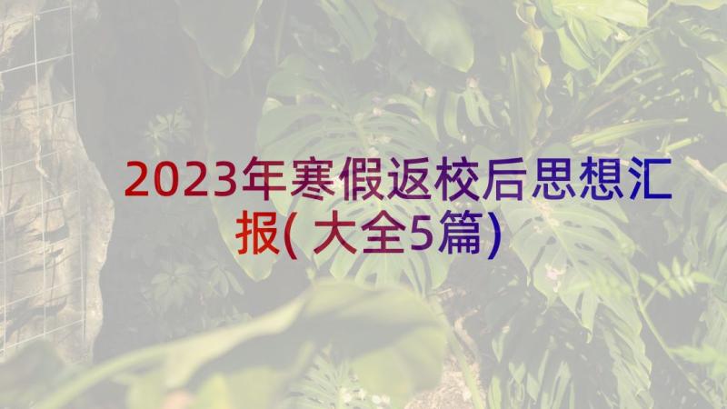 2023年寒假返校后思想汇报(大全5篇)