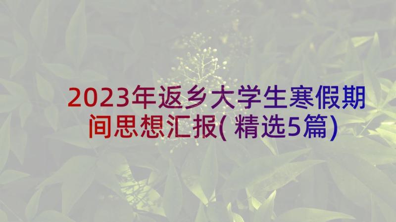 2023年返乡大学生寒假期间思想汇报(精选5篇)