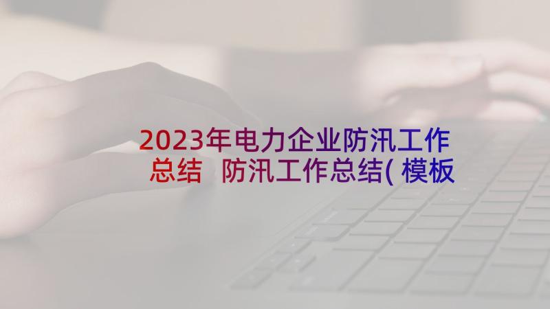 2023年电力企业防汛工作总结 防汛工作总结(模板8篇)