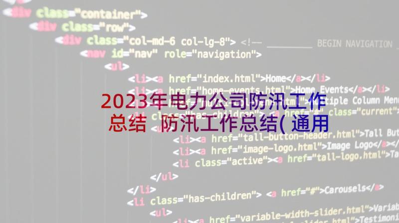 2023年电力公司防汛工作总结 防汛工作总结(通用10篇)