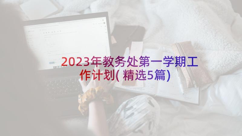 2023年教务处第一学期工作计划(精选5篇)
