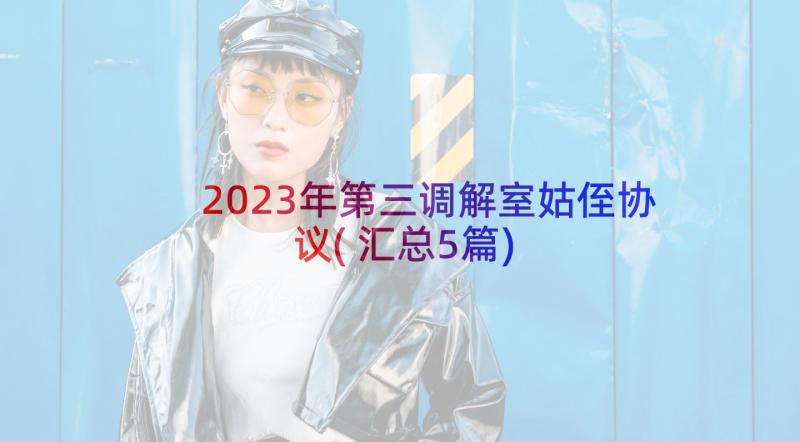 2023年第三调解室姑侄协议(汇总5篇)